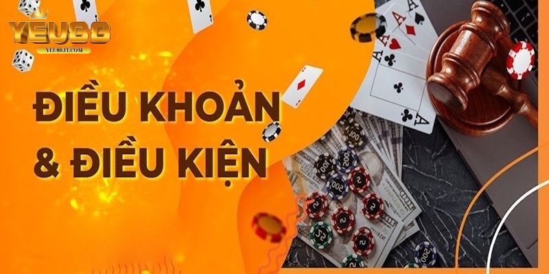 4 điều khoản điều kiện quan trọng mà bạn cần tuân thủ